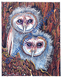 Owlets